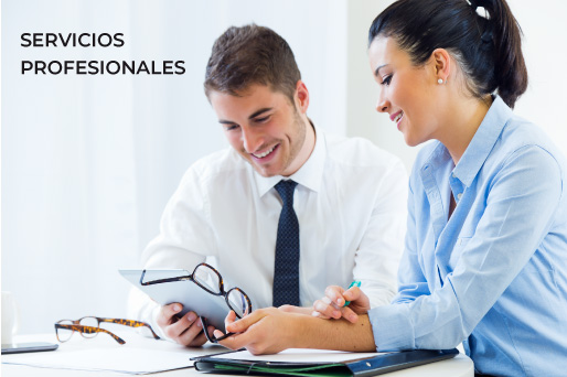 Servicios Profesionales